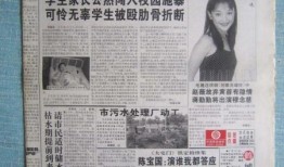 娱乐新闻爆料风格报纸