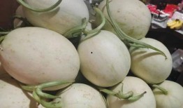 免费 成人 吃瓜,揭秘娱乐圈幕后真相