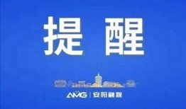 今天的爆料新闻,今日爆料新闻背后的惊人真相