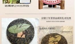 普洱最新爆料,揭秘最新爆料背后的秘密与趋势