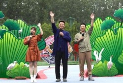 梅州最新爆料新闻视频下载,视频揭秘事件真相，引发社会关注