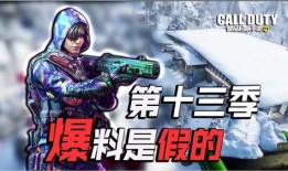 使命召唤手工爆料大全视频,揭秘手工爆料大全，带你领略游戏幕后精彩瞬间