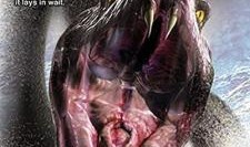 新恶魔岛在线观看,在线惊悚之旅，揭秘神秘岛屿的恐怖传说