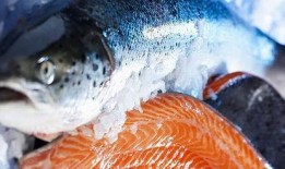 新闻爆料海鱼视频下载,热门新闻背后的下载攻略