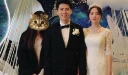 大叔结婚爆料视频大全最新