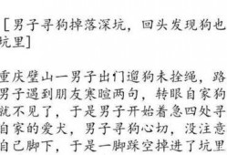 新闻爆料段子怎么写,一场舆论的风暴