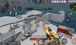 体验服生化最新爆料