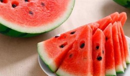 西瓜食堂爆料视频大全集,揭秘校园美食风云录