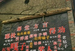 西善堂村爆料案件最新,真相渐露，疑云重重