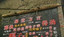 西善堂村爆料案件最新,真相渐露，疑云重重