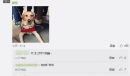 武汉王先生最新爆料视频,揭秘事件背后惊人真相