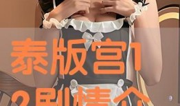 宫泰国12集在线观看,剧情高潮迭起，悬念揭晓在即