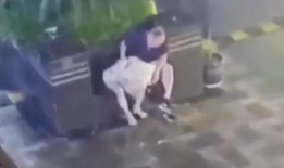 捡尸视频在线观看,揭秘网络直播的暗黑面