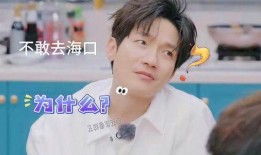 苏醒王栎鑫爆料了吗视频,揭秘娱乐圈幕后真相