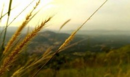 风景视频爆料大全最新版,风景视频爆料大全最新版全景呈现