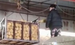 消毒液爆料视频,视频爆料揭示行业黑幕