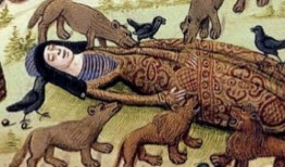 大帝爆料虎子视频大全,虎子视频大全背后的精彩故事