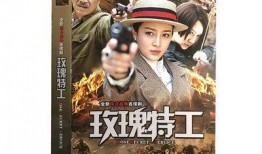 日战电视剧全集在线观看,全景再现二战风云