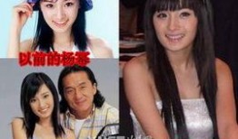 吃瓜娱乐杨幂是谁啊图片,吃瓜娱乐界的焦点女神