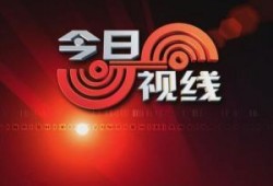 爆料今日视线新闻最新,揭秘重大事件背后真相