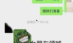 绿毛怒怼爆料者完整视频,揭秘完整视频背后的真相与冲突