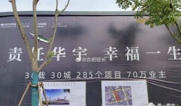 中梁爆料最新消息今天,揭秘行业动态，洞察市场新趋势