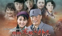 日战电视剧全集在线观看,全景再现二战风云