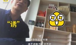传销大师爆料视频大全集,视频大全集深度剖析