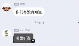 圈内人爆料主播视频大全,主播视频大全幕后故事大曝光