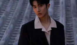 女网友爆料王俊凯视频,女网友爆料引发热议！