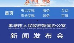 孝感公共频道在线观看,实时掌握家乡动态，共赏精彩瞬间