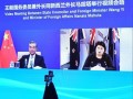 外交部最新爆料消息视频,揭秘国际事件背后真相