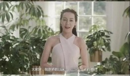 新疆明星爆料视频最新版,揭秘幕后真相与精彩瞬间