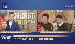 天下财经爆料新闻视频,最新爆料新闻视频深度解析