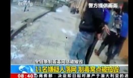 抓马经历爆料视频,视频爆料背后的惊人真相