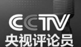央视评论员爆料视频下载,视频下载背后的真相