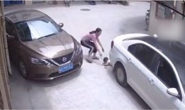 汽车视频爆料大全最新,视频爆料大全深度解析