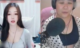 大嘴爆料二嫂视频大全集,二嫂视频大全集深度解析