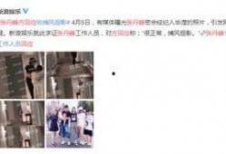 卓伟爆料洪欣老公视频,卓伟爆料背后的真相揭秘