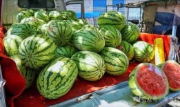 枣庄吃瓜网红事件真相,真相背后的网络风波