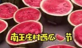 保定最新吃瓜爆料,揭秘网络热议事件背后的真相