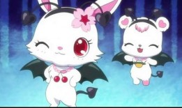 小熊爆料兔子视频播放,视频播放量飙升