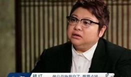 韩红爆料节目视频播放,视频播放背后的故事