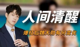 狗仔爆料魏大勋视频,真相背后引热议