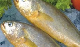 新闻爆料海鱼视频下载,热门新闻背后的下载攻略