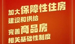 民生爆料王完整视频,揭秘真实民生事件，深度剖析社会热点