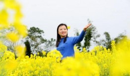 在线观看油菜花香,一场视觉与情感的田园盛宴