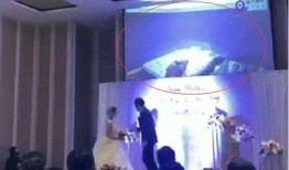 台湾爆料本土案例视频,视频曝光惊人细节