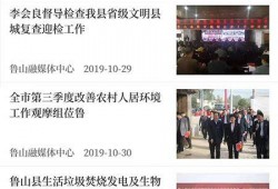 鲁山县最新爆料新闻直播,揭秘重大新闻事件背后真相