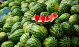 郴州网红吃瓜事件真相,真相背后的网络狂欢与反思